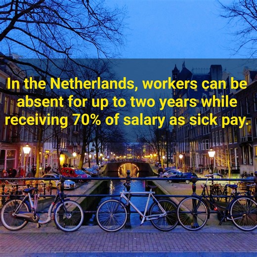 15 Interesting Facts About The Netherlands, The Country Of The Future. | Weird World