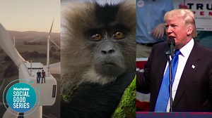 20 climate change documentaries you need to watch because this planet is NOT fine