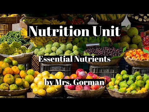 nutrition- Six essential nutrients