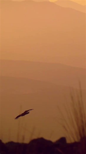 Timeless Tapes 006: Crystal Kingdoms