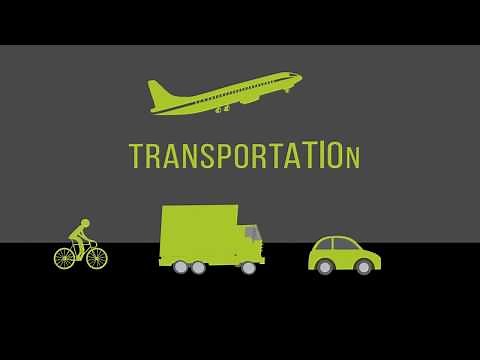 Transportation 101