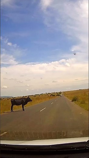 KZN road trip - Kwa Zulu Natal