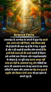 Uttarakhand ke Almora ke junglon me kuch ped saalon tak apne patte nahi girate. Ye ped na sookhte hain aur na hi sadte hain. Sthaniya log ise devi-devtaon ki urja maante hain, jabki vigyan microclimate aur unique water control system se jodta hai. Lekin iska poora karan aaj bhi spasht nahi #AlmoraForest #UttarakhandMystery #EvergreenTrees #NatureMystery #ScienceFacts | Science Fact