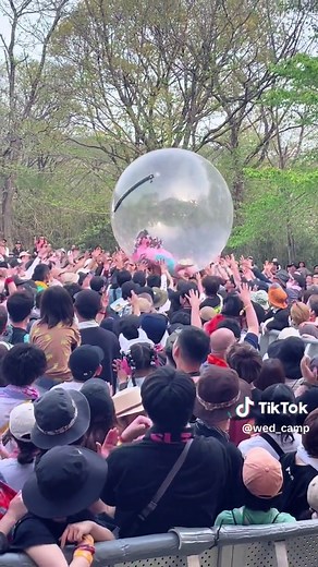 水曜日のカンパネラ 桃太郎と詩羽: ARABAKI ROCK FEST.24でのライブパフォーマンス