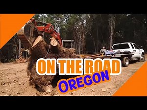 On the Road - **Harvesting a large Madrone Burl in Merlin, Oregon**
