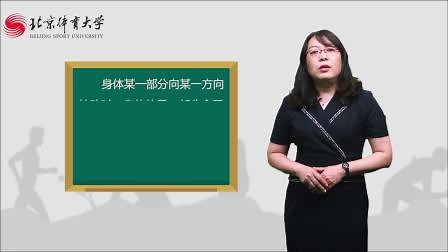 人体的基本运动原理（下）