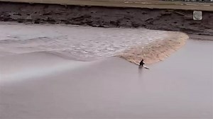 Surfers enjoy a ride on the tidal bore in New Brunswick's Petitcodiac River, upstream from the Bay of Fundy, home of the highest tides in the world. Video: @sheldon_tuck/Twitter | The Weather Network