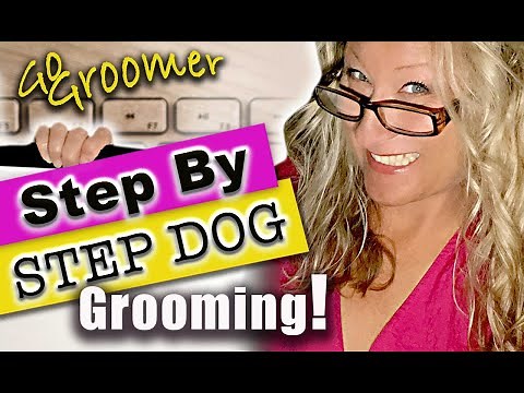 Dog Grooming Guide-Step by Step