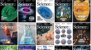 Science Magazine – March 14, 2025 Research Preview