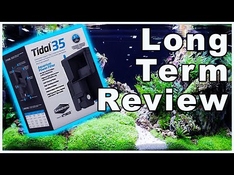 Seachem Tidal 35 Hang on Back Aquarium Filter: Long Term Review
