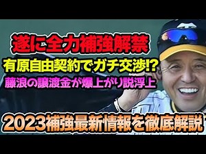 【新助っ人に全力交渉開始!?】有原ら自由契約でガチ補強説を徹底解説!! 藤浪の譲渡金が爆上がりしそうな件について【阪神タイガース】