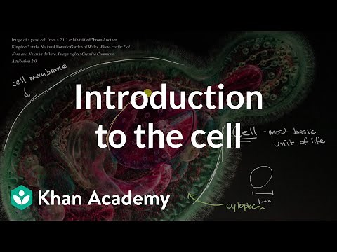 Introduction to the cell | Cells | High school biology | Khan Academy