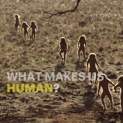 Documentaries on Demand. Watch 🏆 Emmy® winning originals and documentaries on 🔬 science, 💻 technology, 📖 history and 🌲 nature programs. Plans start at only $2.99/month after your free trial. | Curiosity Stream