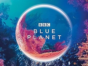 Blue Planet | BBC Earth