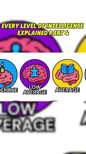 Understanding Levels of Intelligence: Part 4 Explained