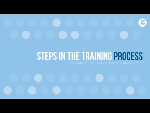 Steps in the Training Process