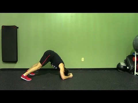 Dolphin Push Up - HASfit Push Up Exercise Demonstration - Dolphin Pushup - Dolphin Push Ups