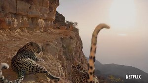 Our Planet - Episode 1 - "One Planet" Recap & Review