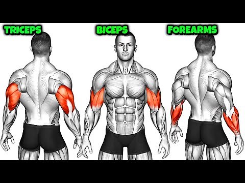 Build Bigger Arms at Home – No Gym, No Equipment | Forearms, Biceps, Triceps