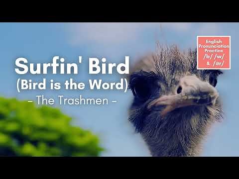 Surfin' Bird (Bird is the Word) by the Trashmen (Lyrics)