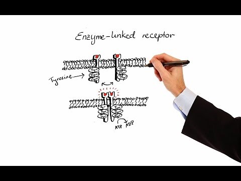 Pharmacology - PHARMACODYNAMICS (MADE EASY)