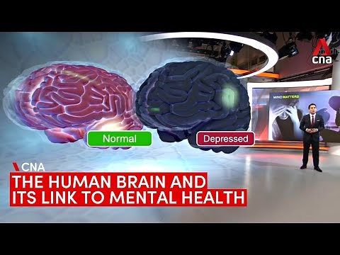 What causes mental illnesses? The human brain and its link to mental health