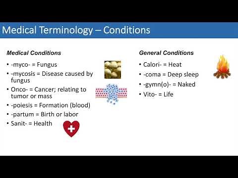 Medical Terminology - The Basics - Lesson 4