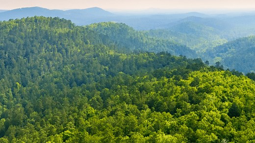 ESG & Shared Value Reporting