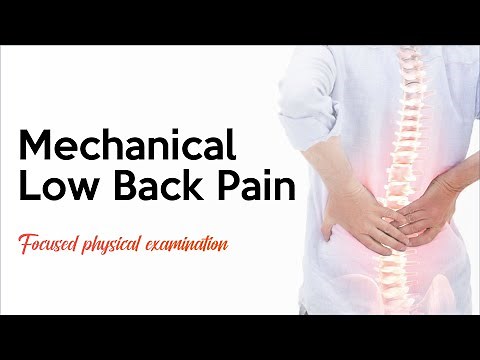 Mechanical Low Back Pain: Focused Physical Examination Guide