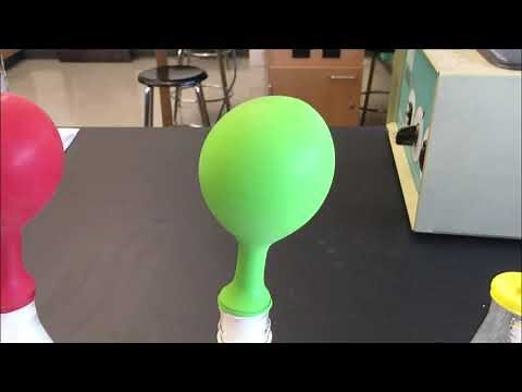 Fermentation and Yeast Experiment