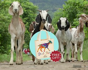 𝗦𝗣𝗘𝗖𝗜𝗔𝗟 𝗢𝗙𝗙𝗘𝗥: Get a 𝗙𝗥𝗘𝗘 goat tote with your monthly gift! Join now and help fight hunger all year long. | Heifer International