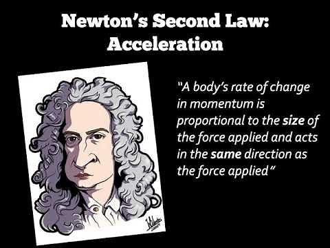Biomechanics - Newton's Laws and Basic Calculations