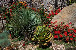 How to create a rock garden