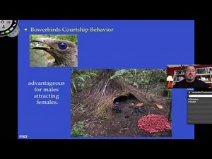 Introduction to Animal Behavior
