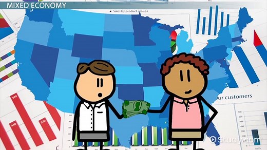 Economic System | Overview, Types & Examples