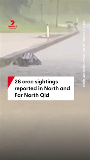 28 crocodile sightings in North and Far North Queensland have been reported to the Department of the Environment, Tourism, Science and Innovation. The North Queensland Wet Season Pictures & Video Facebook page says this was filmed at Kruckow Bridge near Babinda, Queensland. #Crocodile #Croc #Flood #FarNorthQueensland | 7NEWS Mackay