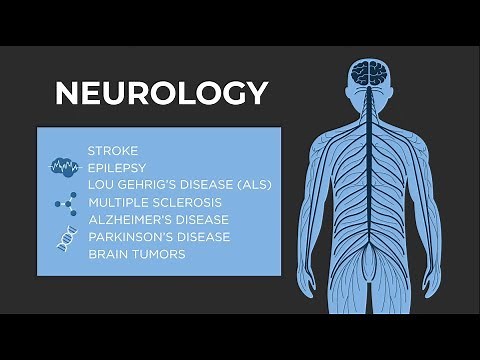 What is Neurology? - American Academy of Neurology