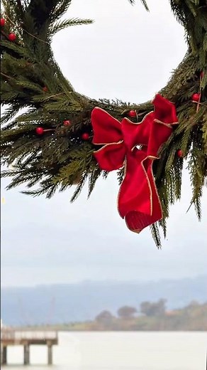 Dog Friendly Tapas in San Francisco | Coqueta Experience with Susye Weng-Reeder