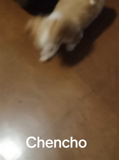 Videos de Héctor Rivera (@hectorrivera453) con “sonido original - flaco02g🔥”