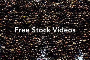 Stadium Crowd Videos, Download The BEST Free 4k Stock Video Footage & Stadium Crowd HD Video Clips