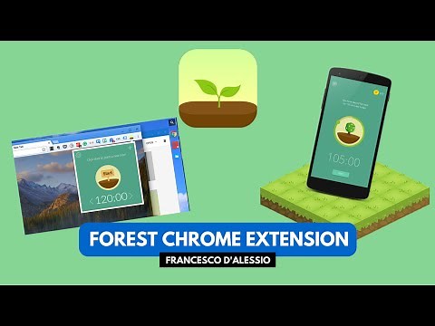 How to Use Forest Productivity App