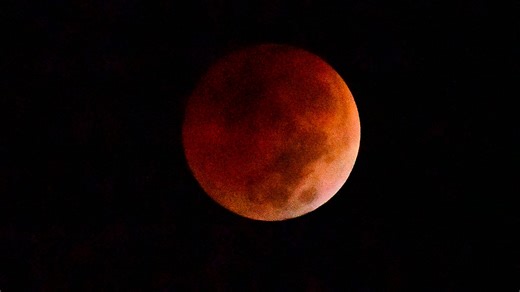 Blood-red moon visible from Florida early Friday. Here's how to see the lunar eclipse.
