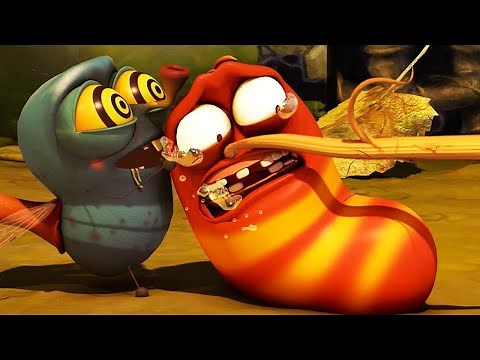 LARVA | Lutte acharnée | Film de dessin animé | Dessins Animés Pour Enfants | WildBrain