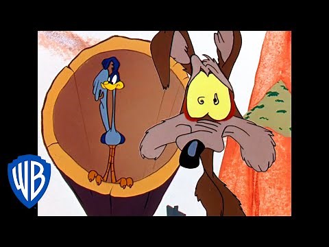 Looney Tunes | Ready, Set, Catch the Roadrunner! | Classic Cartoon | WB Kids
