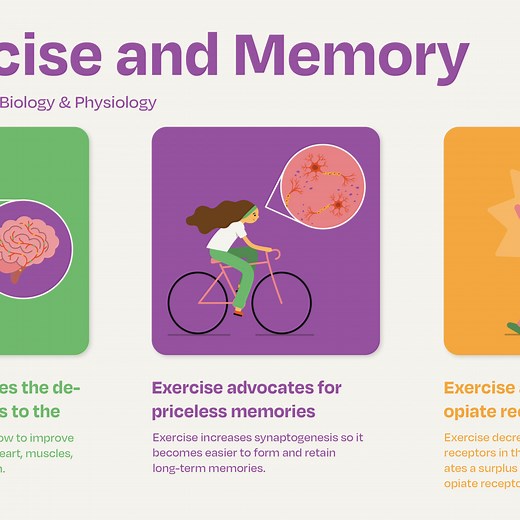 How exercise affects the brain