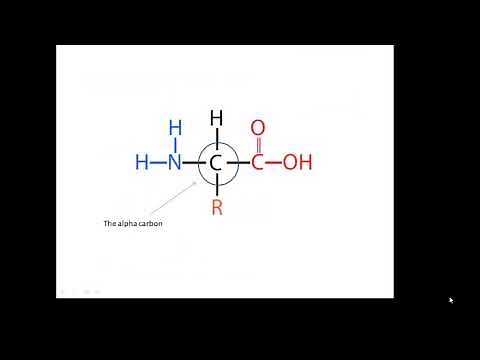 BTEC Applied Science: Unit 3 Enzymes 1