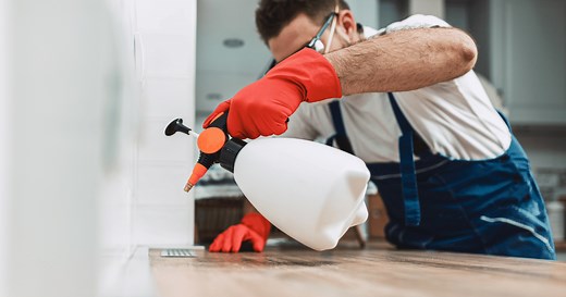 7 Best Pest Control Companies - Today's Homeowner