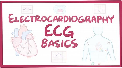 ECG basics: Video, Causes, & Meaning | Osmosis
