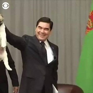 Self-proclaimed dog lover Russian President Vladimir Putin was presented with a fluffy puppy for his 65th birthday. #kwch12 | KWCH 12 News