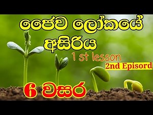 Grade 6 science 1st lesson science